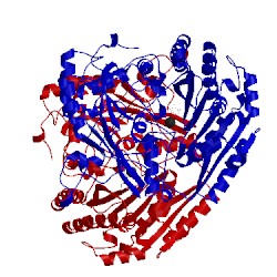 Image of CATH 1vao
