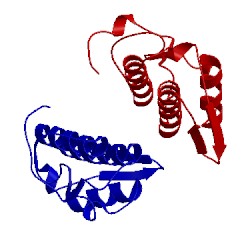 Image of CATH 1vap