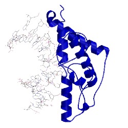 Image of CATH 1vas