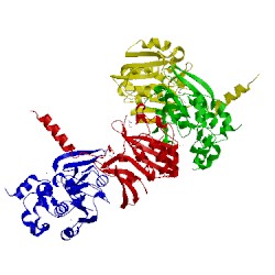 Image of CATH 1vbf