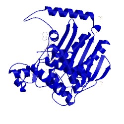 Image of CATH 1vbi