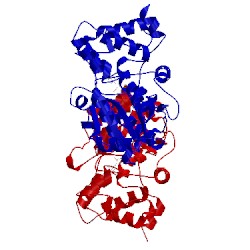 Image of CATH 1vbn