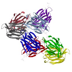 Image of CATH 1vbo