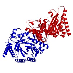 Image of CATH 1vbu