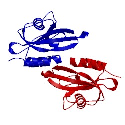 Image of CATH 1vcd