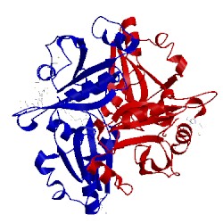 Image of CATH 1vce