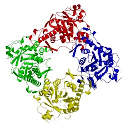 Image of CATH 1vcg
