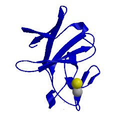 Image of CATH 1vck