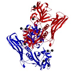 Image of CATH 1vcl