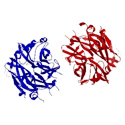 Image of CATH 1vcu