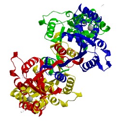 Image of CATH 1vdd