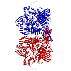 Image of CATH 1vdv