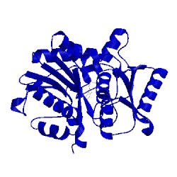 Image of CATH 1ve1