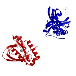 Image of CATH 1vev