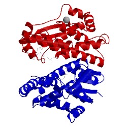 Image of CATH 1vf2