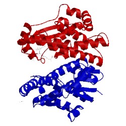 Image of CATH 1vf3