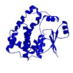 Image of CATH 1vf4