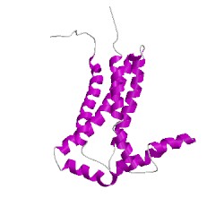 Image of CATH 1vf5A