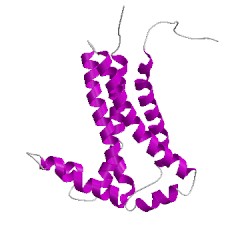 Image of CATH 1vf5N