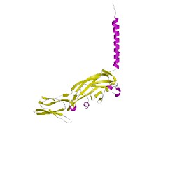 Image of CATH 1vf5P