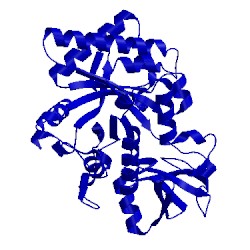 Image of CATH 1vf8