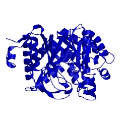 Image of CATH 1vff