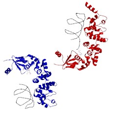 Image of CATH 1vfg