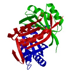 Image of CATH 1vfj