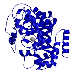 Image of CATH 1vfl