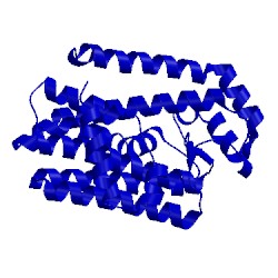 Image of CATH 1vg6