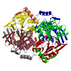 Image of CATH 1vgg