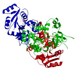 Image of CATH 1vh3