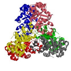 Image of CATH 1vhc