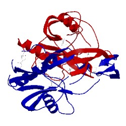 Image of CATH 1vhg
