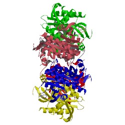 Image of CATH 1vhj