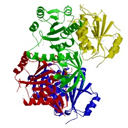 Image of CATH 1vhk