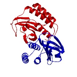 Image of CATH 1vhm