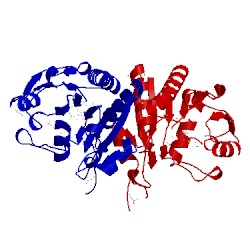 Image of CATH 1vhq