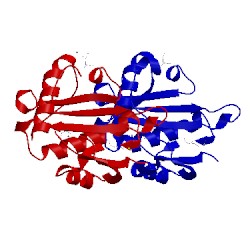 Image of CATH 1vhs