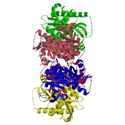Image of CATH 1vhw