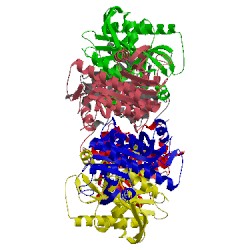 Image of CATH 1vhw