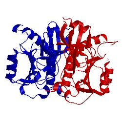 Image of CATH 1vhy