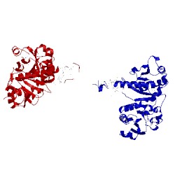 Image of CATH 1vi1