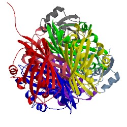 Image of CATH 1vi8