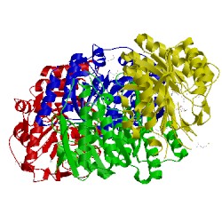 Image of CATH 1vi9
