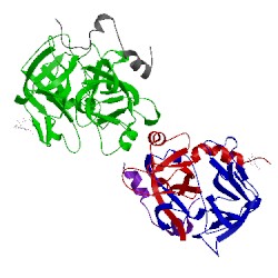 Image of CATH 1vit