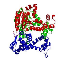 Image of CATH 1viy