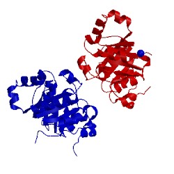 Image of CATH 1viz