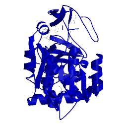 Image of CATH 1vj1