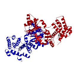Image of CATH 1vj7